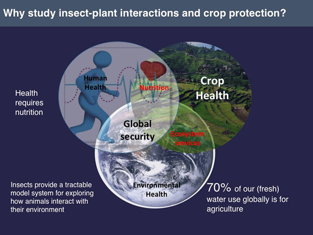 why study insect-plant interactions
